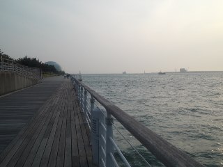 穏やかな大阪湾